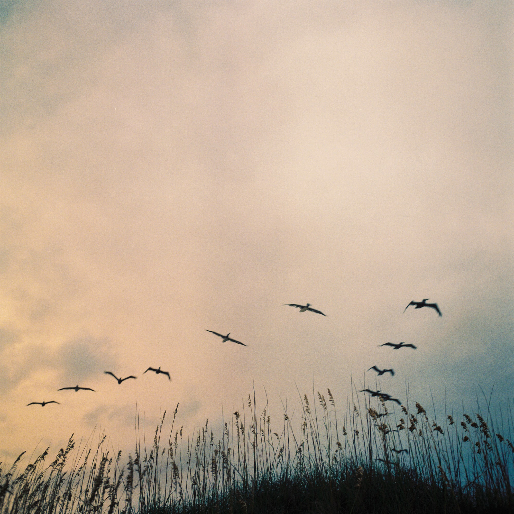 Add a description of this photo here